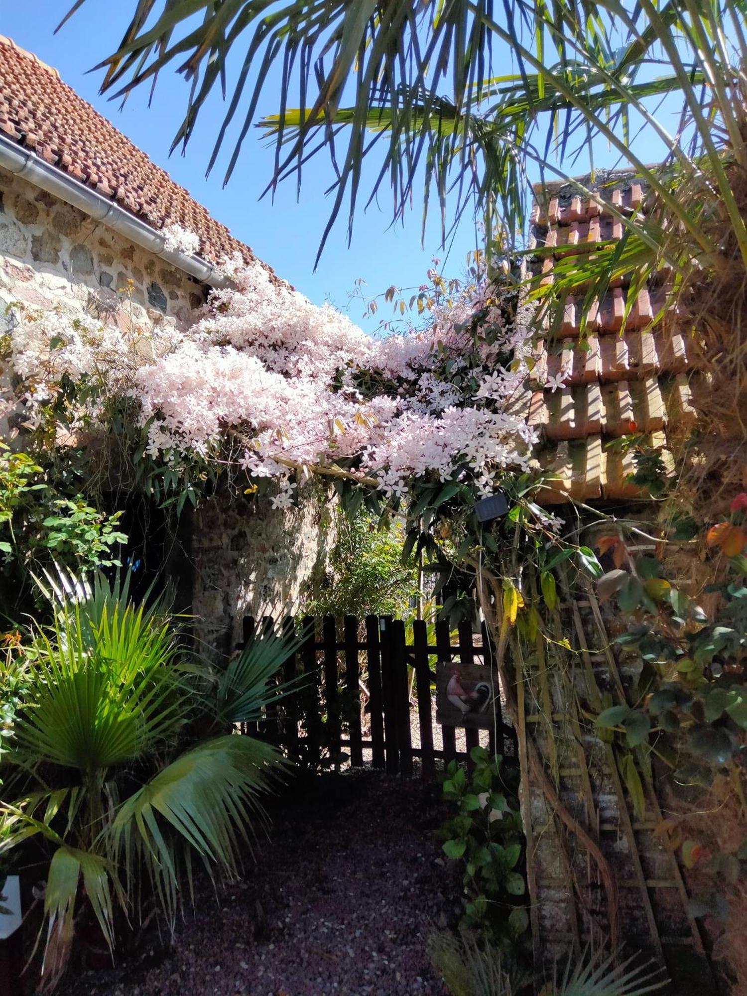 Apartament Les Deux Moulins Saint-Alban  Zewnętrze zdjęcie